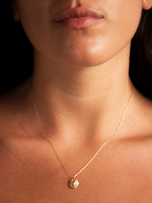 Jerusalem's Lion charm