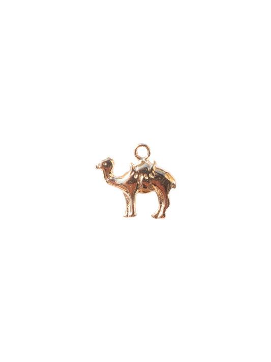 Camel