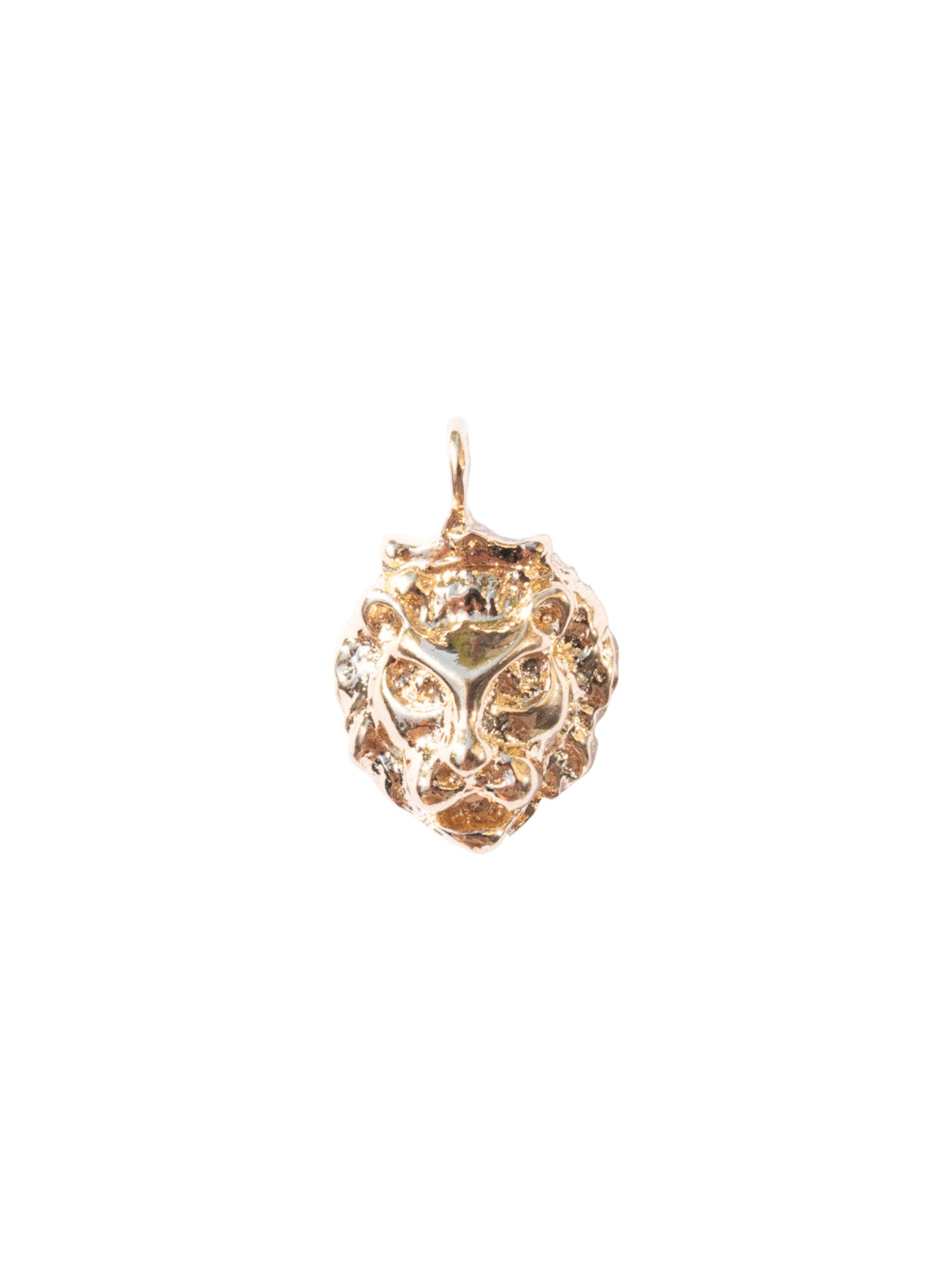 Jerusalem's Lion charm